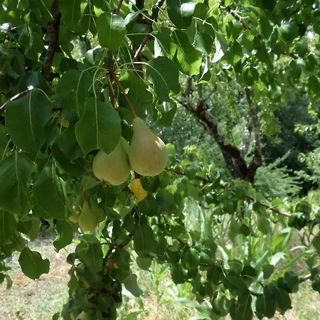 Difesa Del Principe Farm stay Felitto