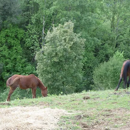 Farm stay Difesa Del Principe Felitto
