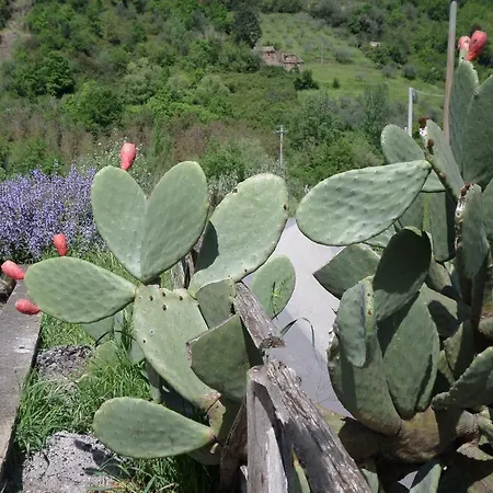Farm stay Difesa Del Principe *